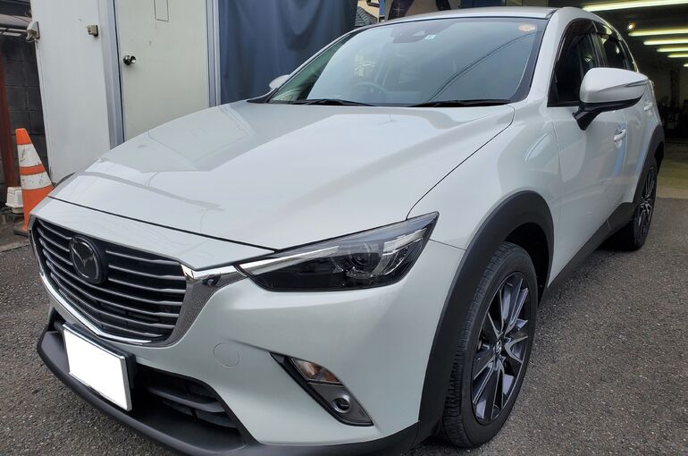 CX-33